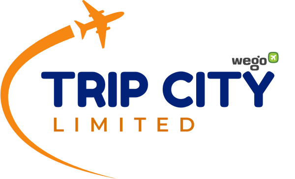 Trip City LTD
